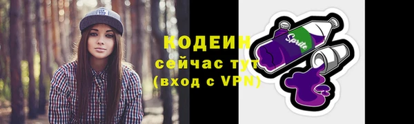 дмт Богородицк